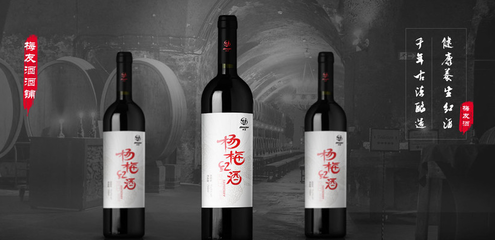 時隔五年,馬云重啟網商大會,關于新零售講了啥?