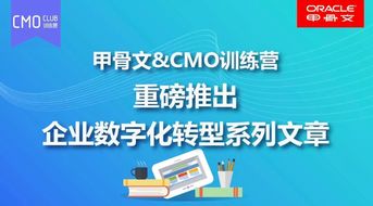 傳統(tǒng)酒類行業(yè)與營(yíng)銷自動(dòng)化的反差 盟