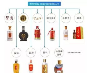 茅臺(tái)酒 茅臺(tái)系列酒 茅臺(tái)集團(tuán)酒有什么區(qū)別 這款定制酒你見過沒