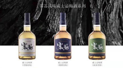攜兩款新品瞄準(zhǔn)春節(jié)檔 九岸高升如何抵抗新酒飲品類 內(nèi)卷